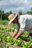 Ferme Bio Provence