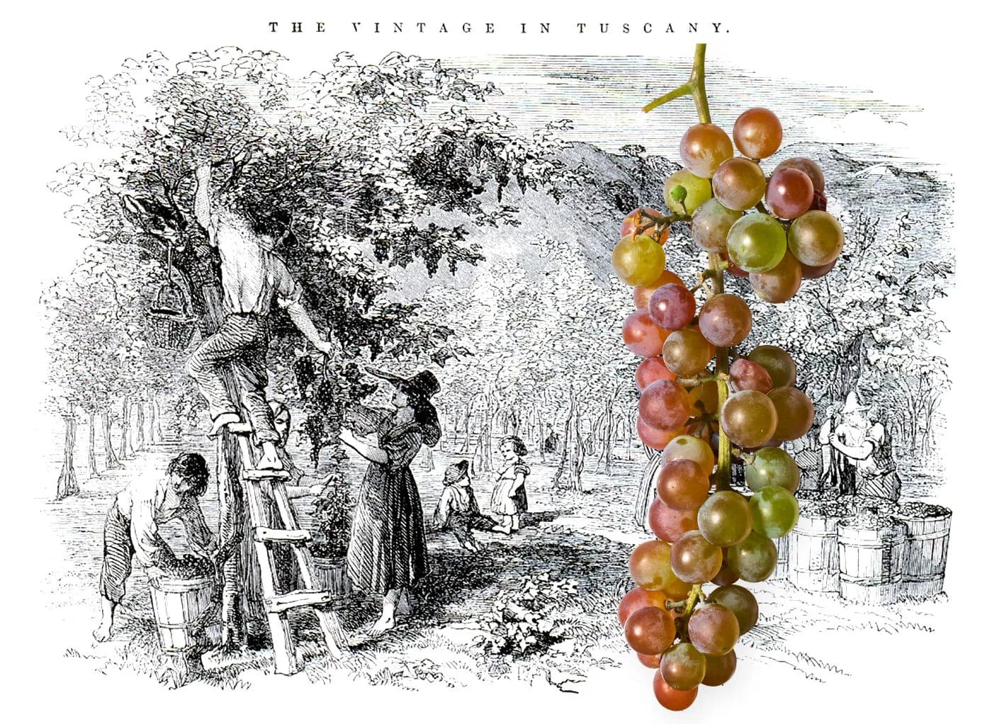 The Marriage